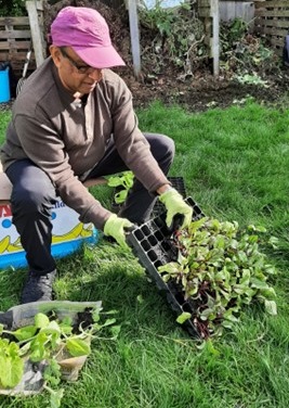 Gardening group 2